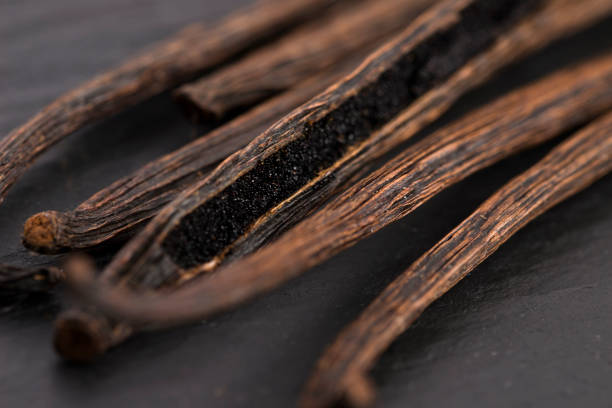 Forêt